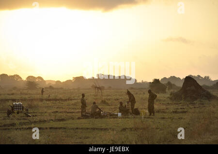 2014 03 21 Qoryooley Camp-5 (13360317694) Foto Stock