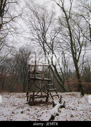 Una fotografia scattata il 2 dicembre 2012, che mostra lo Schwetzinger Hardt, un'area boschiva in Germania, nota per la sua bellezza naturale e i diversi ecosistemi. Foto Stock