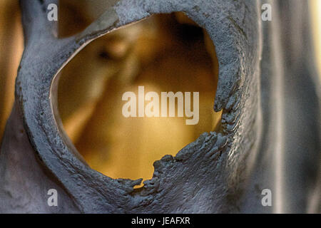 Questa immagine, intitolata "Herman's Eye", è stata scattata nel 2014 e cattura un primo piano di un occhio dettagliato, riflettendo i complessi motivi e le texture dell'occhio umano. Foto Stock