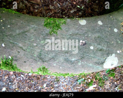 Questa immagine mostra una fontana (Brunnen) a Schwetzinger Hardt, un'area boschiva in Germania conosciuta per la sua bellezza naturale. La foto cattura l'ambiente tranquillo e le caratteristiche dell'acqua. Foto Stock