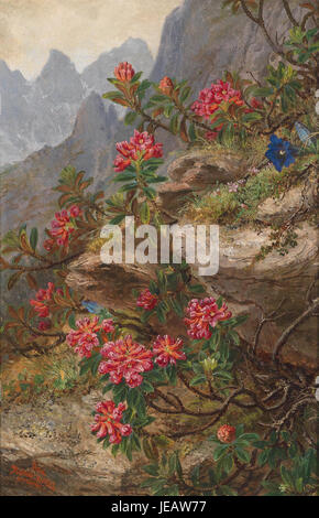 Un'illustrazione botanica di Anna Stainer-Knittel, che mostra una varietà di fiori alpini originari delle Alpi, concentrandosi su colori vivaci e forme delicate. Foto Stock