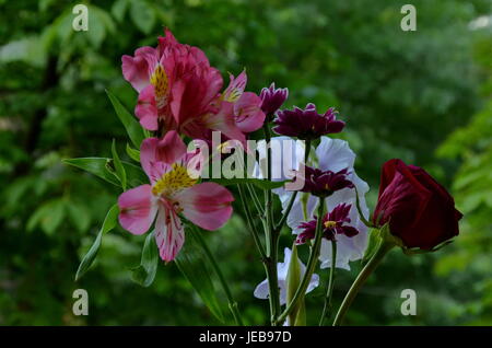 Composizione con bouquet di fiori diversi, Sofia, Bulgaria Foto Stock