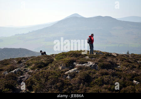 Uomo che passeggia con un cane pastorale nella testa di Bray, Irlanda Foto Stock