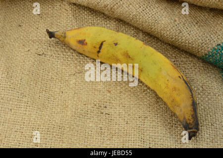 Con la buccia giallo piantaggine banana cottura su tela Foto Stock