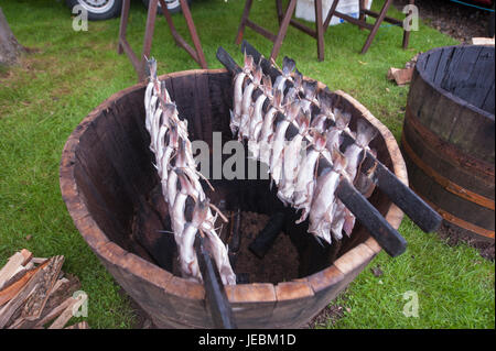 RIngliston, Edimburgo, Scozia. Il 23 giugno, 2017. Royal Highland Show 2017. Pep Masip/Alamy Live News Foto Stock