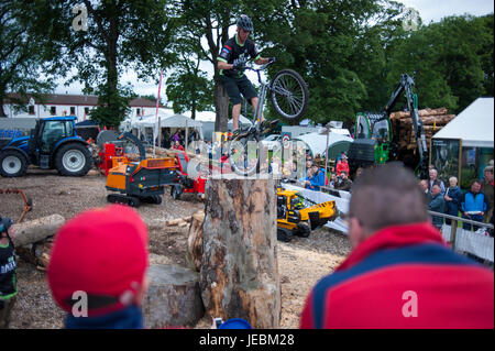 RIngliston, Edimburgo, Scozia. Il 23 giugno, 2017. Royal Highland Show 2017. Pep Masip/Alamy Live News Foto Stock