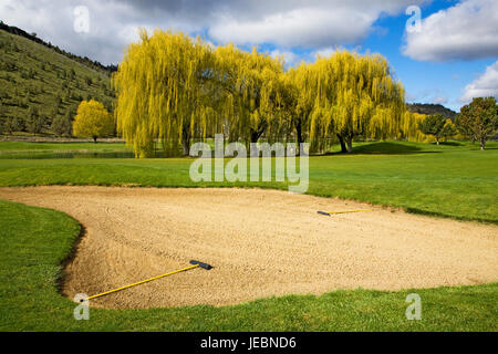 Una trappola di sabbia su un campo di golf con un rastrello in esso e un grande salice piangente albero in background. Foto Stock