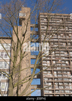 Trellick Tower Notting Hill Londra Inghilterra REGNO UNITO Foto Stock