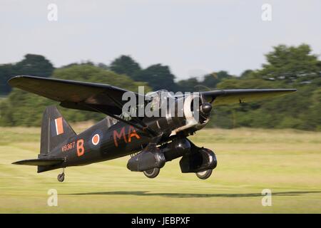 1938 Westland Lysander in atterraggio a Old Warden Aerodrome Foto Stock