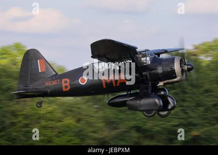 1938 Westland Lysander in atterraggio a Old Warden Aerodrome Foto Stock