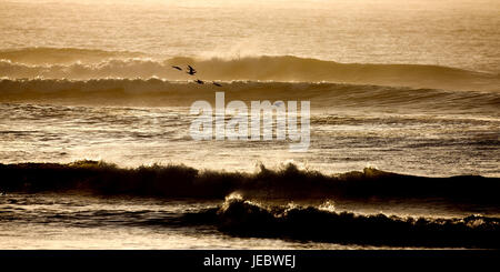 Africa, Namibia, sundown nell'Atlantico, Foto Stock