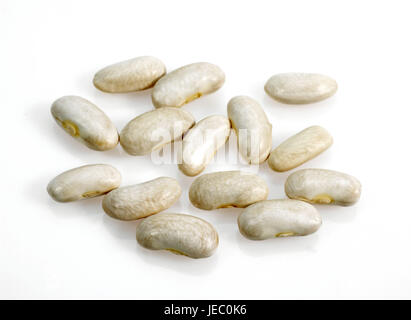 Fagiolini, Phaseolus vulgaris, Mogette de Vendee, fagioli, sfondo bianco Foto Stock