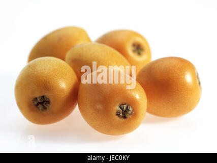 Lana giapponese nespola, Eriobotrya japonica, sfondo bianco Foto Stock