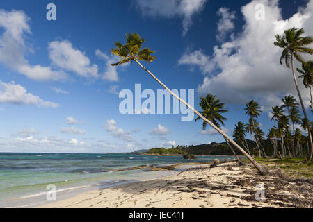 Playa Rincon con lettura Galeras, penisola di Samana Repubblica Dominicana, Foto Stock