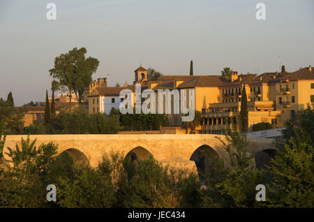 Spagna, Andalusia, Cordoba, la Città Vecchia, il ponte romano in primo piano Foto Stock