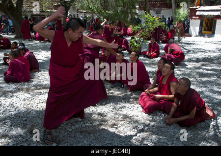 Giovani monaci con il quotidiano la discussione ora della saga tempio, Lhasa, in Tibet, Asia Foto Stock