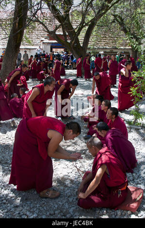 Giovani monaci con il quotidiano la discussione ora della saga tempio, Lhasa, in Tibet, Asia Foto Stock