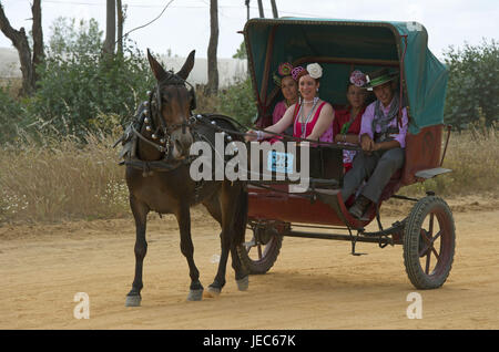 Spagna, Andalusia, El Rocio, Romeria, pellegrino in una carrozza a cavallo, Foto Stock