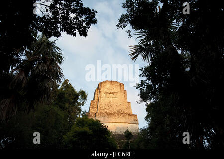 Guatemala, Tikal, rovine Maya, foresta pluviale, alcuna proprietà di rilascio, Foto Stock