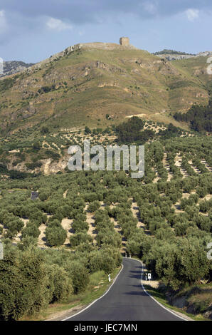 Spagna, Andalusia, Sierra de Cazorla, country road nel paesaggio collinare, Foto Stock