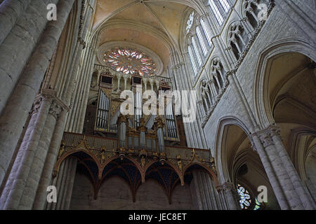 Francia Piccardia, Amiens, Cattedrale Notre Dama, nel 1220-1288, vista interna, organo, dal di sotto, nella Francia settentrionale, basilica, chiesa, struttura, architettura, spike curve, pilastri, organo da chiesa, luogo di interesse storico, UNESCO-patrimonio culturale mondiale, icona, la fede, la religione, il cristianesimo, spiritualità, musica d'organo, la musica di chiesa, Foto Stock