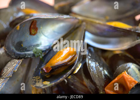 Impepata di cozze cotte al vapore o impepata di cozze Foto Stock