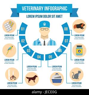 Clinica veterinaria ed infografico concetto, stile piatto Illustrazione Vettoriale