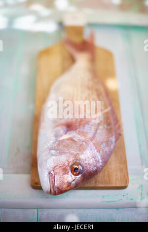 Intero fresco lutiano rosso pesce Foto Stock