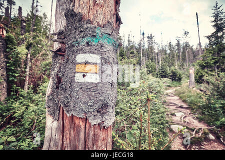 Sentiero escursionistico marcatura dipinta su albero, tonificazione del colore applicato, Alti Tatra, Slovacchia. Foto Stock