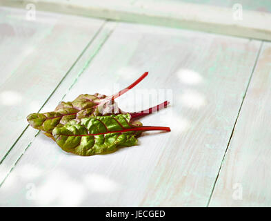 Rainbow chard foglie verdi Foto Stock