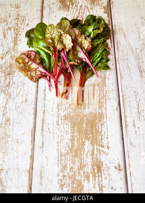 Rainbow chard foglie verdi Foto Stock