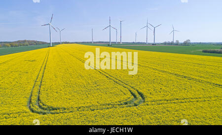 Foto aerea del campo di colza e il potere di vento stazioni nei pressi di Suelbeck, Bassa Sassonia, Germania Foto Stock