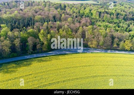 Foto aerea del campo di colza vicino Thieshoope, Bassa Sassonia, Germania Foto Stock