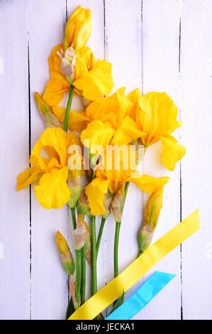 Bouquet di fioritura iridi gialli su un bianco sullo sfondo di legno Foto Stock