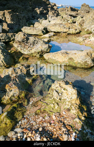 Viaggiare a Algarve Portogallo - coquina rocce sulla spiaggia Praia Sao Rafael vicino alla città di Albufeira Foto Stock