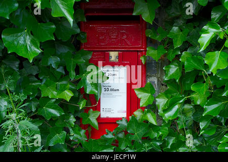 British letter box in posizione rurale.British letter box. letterbox sulla campagna del Regno Unito.Red letter box montato nella parete di pietra ricoperta con ivies Foto Stock