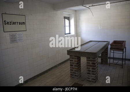 Austria, Mauthausen, campo di concentramento memorial, edificio Sezierraum, Seziertisch, Austria superiore, campo di concentramento, il socialismo nazionale, campo di lavoro, campo di concentramento, campo di prigionia, detenuto dal magazzino, del prigioniero di guerra del magazzino, supporto, omicidio, distruzione, omicidio, duro lavoro, la Shoah, dimensione omicidio, la distruzione di massa, l'antisemitismo, dei prigionieri di guerra, gli ebrei, zingari, memorial, raccoglimento, promemoria, memorial, ricerca, tentativi umani, nessuno, all'interno, Foto Stock