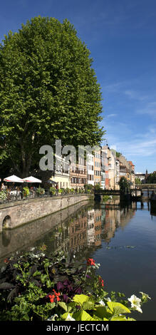 Francia, Alsazia, Strasburgo, sistemazione de la petite, malato di flusso, l'Europa, la città di destinazione, parte della città di case, case residenziali, terrazza, albero, latifoglie, street cafe, piante, fiori, blossom, estate, sole, all'esterno, l'acqua, Foto Stock