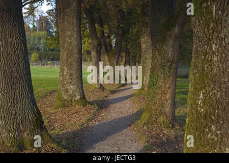 Kottmüller avenue a Murnau, Alta Baviera, Baviera, Germania, Foto Stock