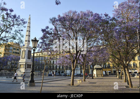 Spagna, Malaga, obelisco sulla Plaza de la Merced, Foto Stock