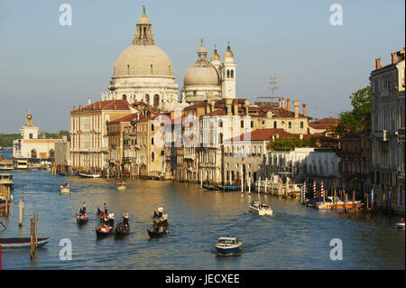 Italia Venezia, messenger sul Canale grandee sullo sfondo la chiesa di Santa Maria della saluta, Foto Stock