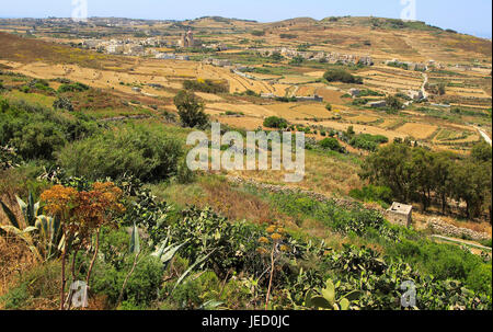 Paesaggio rurale vista da Zebbug di Ghasri village e valle, Gozo, Malta Foto Stock