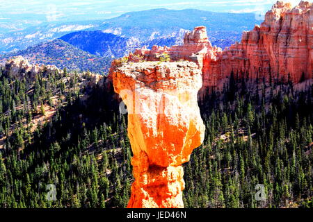 Thor's potrebbe Martello a Bryce Canyon NP, Utah Foto Stock