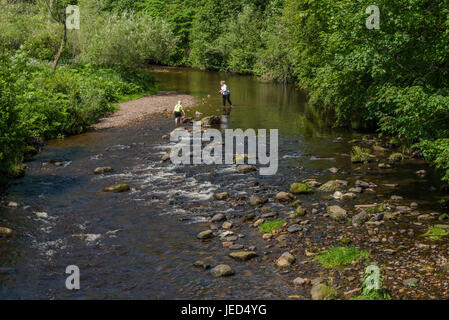 Il nord fiume Esk a Roslin Glen nel Midlothian Scozia Scotland Foto Stock