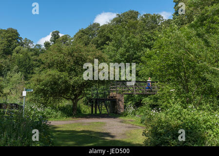 Un sentiero in The Roslin Glen Country Park in Midlothian Scozia Scotland Foto Stock