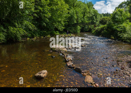 Il nord fiume Esk a Roslin Glen nel Midlothian Scozia Scotland Foto Stock