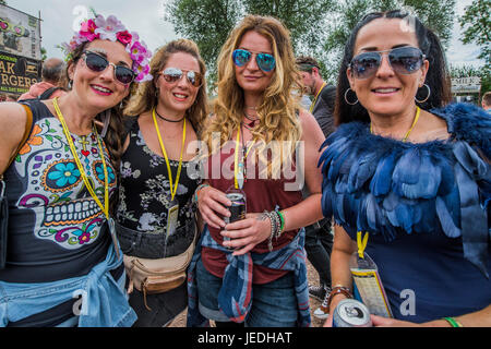 Glastonbury, Somerset, Regno Unito. Il 24 giugno 2017. Il 2017 Festival di Glastonbury, azienda agricola degna. Glastonbury, 24 giugno 2017 il credito: Guy Bell/Alamy Live News Foto Stock