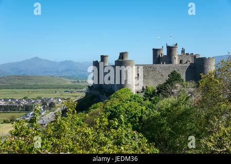 Vista di Harlech Castle in Snowdonia, il Galles del Nord su una luminosa e soleggiata giornata ai primi di maggio. Foto Stock