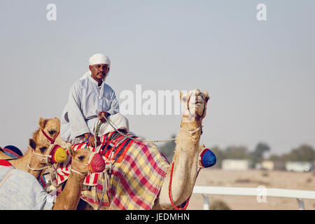 Al camel racetrack Al Shahaniya, in Qatar Foto Stock