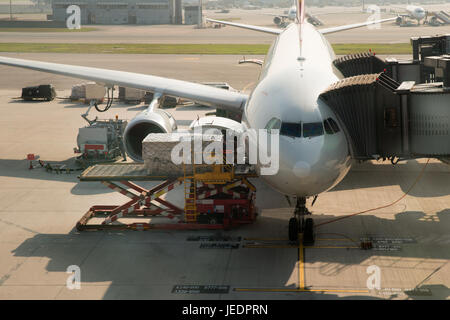 Carico di carico sul piano in aeroporto prima del volo. Foto Stock